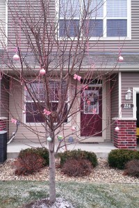 pink outside Christmas tree