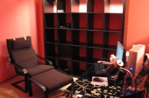 These shelves are filled... love the loft!