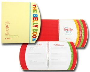 The Belly Book - documenting the 9 month journey!